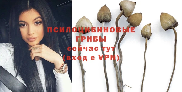хмурый Верхний Тагил