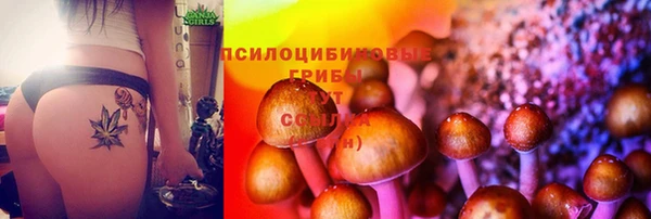 эйфоретик Верея