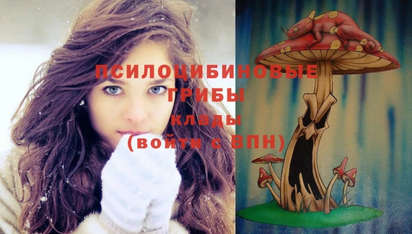 хмурый Верхний Тагил