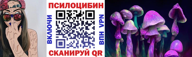 Галлюциногенные грибы Cubensis  дарнет шоп  Якутск 